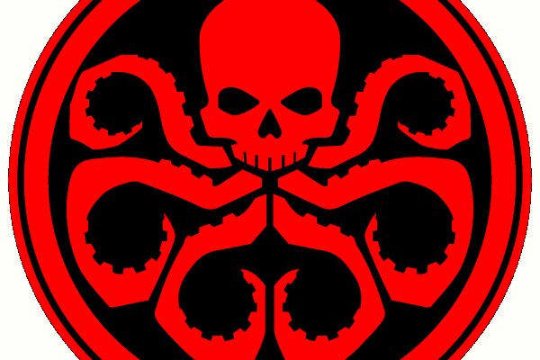 Kraken 19 at