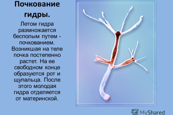 Кракен даркнет в тор