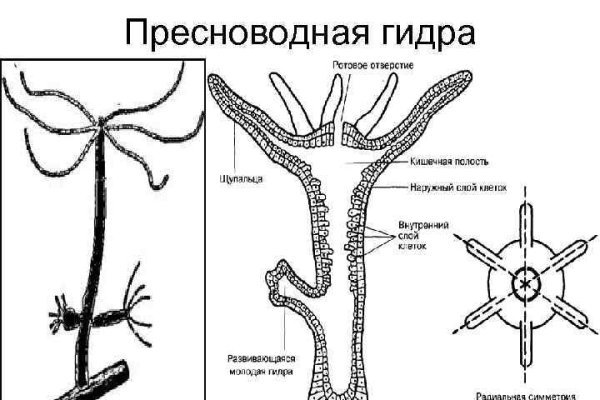 Кракен ссылка 2web