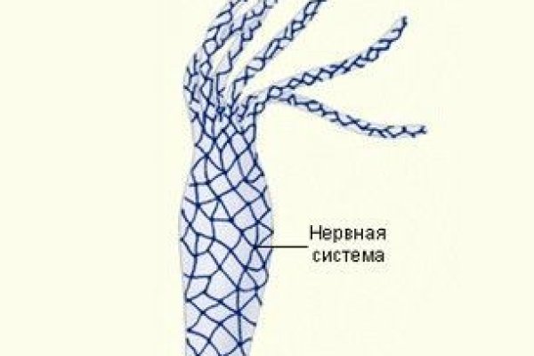 Ошибка на сервере кракен