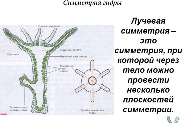 Кракен дарк сайт