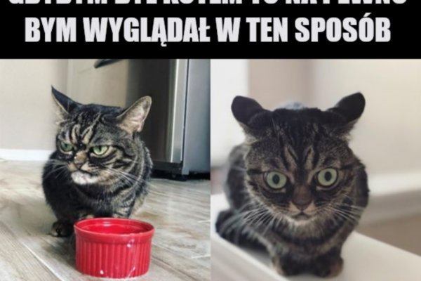 Сайт кракен тор браузера
